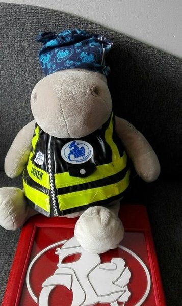 56605006_284548802458937_8154474420568588288_n (1).jpg