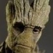 Groot