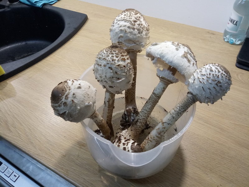 20191013_195342.jpg