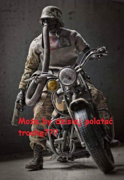 Moze polatac_909251.jpg