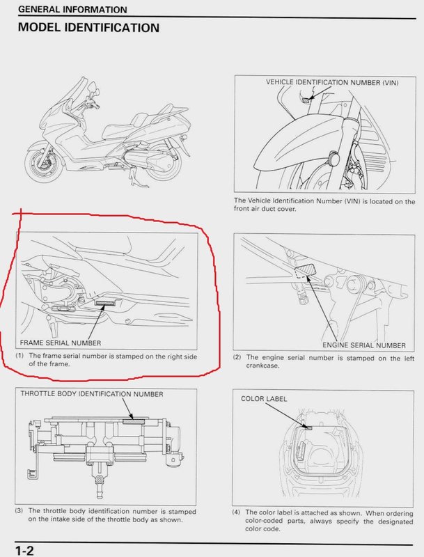 Honda Silver Wing 600 gdzie znajdę numer VIN? Ogólne