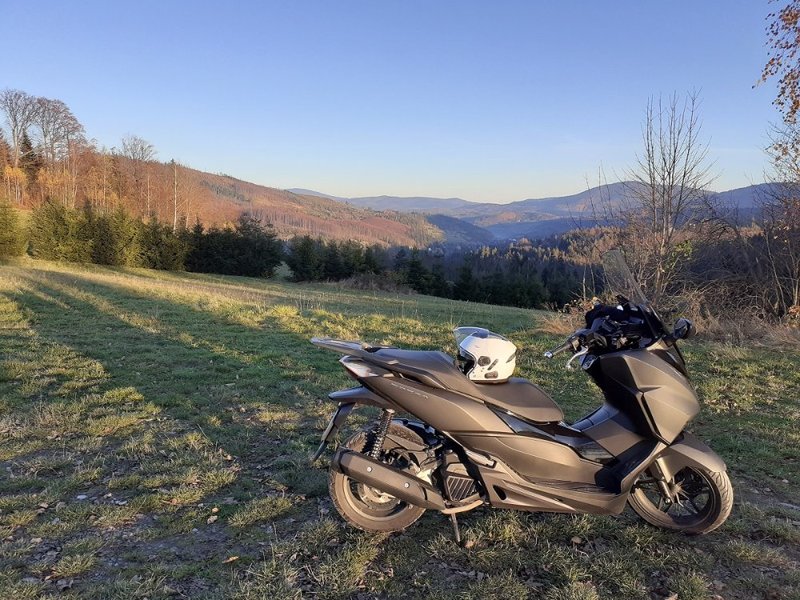 20201107_152939 pix.jpg