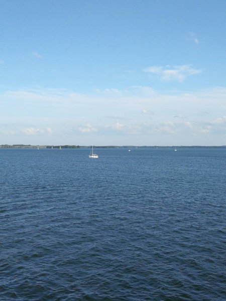 IMG_20210815_172607.jpg