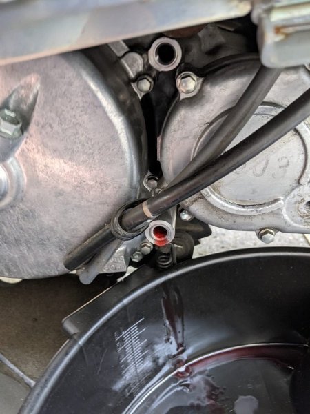 WhatsApp Image 2021-09-21 at 18.19.13.jpeg