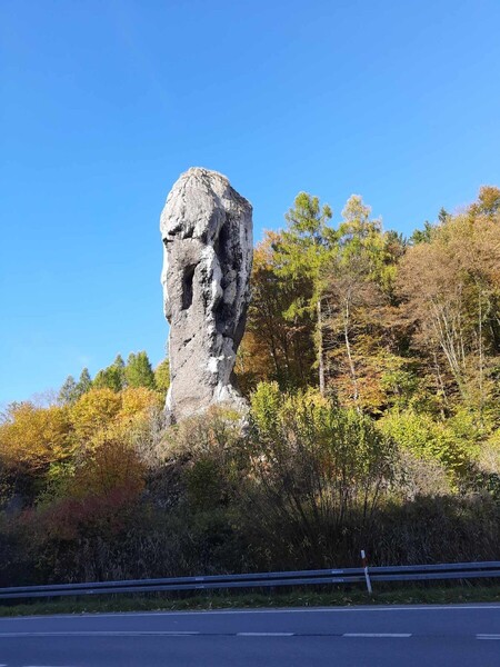received_348711627628471.thumb.jpeg.2894539664a309bb1ba1d7094e5d0672.jpeg