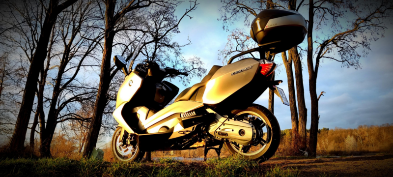 image.thumb.png.236df7b257f711e921a0a8f68ea542cc.png