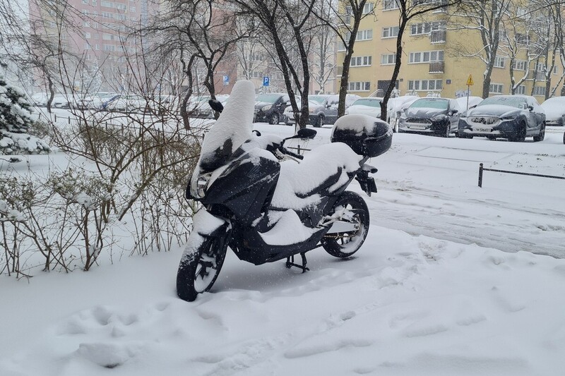 2023.12 kand_cr_s.jpg