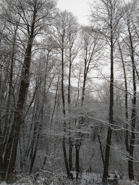 IMG_20231207_135033.thumb.jpg.98c0dc26d18e78c0ad234e9b6f46a478.jpg