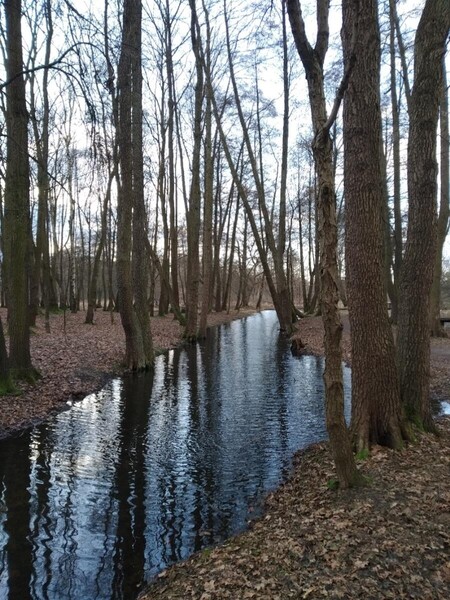 MOKRY_MARZEC (1).jpg