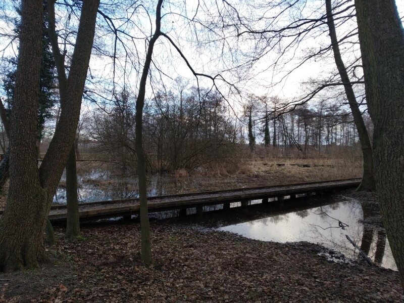 MOKRY_MARZEC (2).jpg