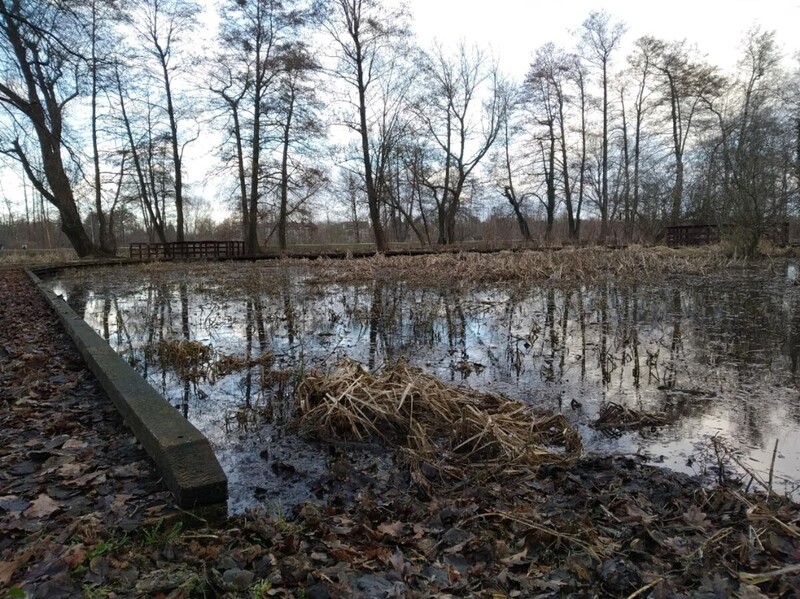 MOKRY_MARZEC (3).jpg