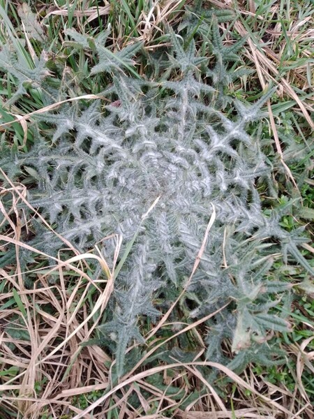 MOKRY_MARZEC (4).jpg