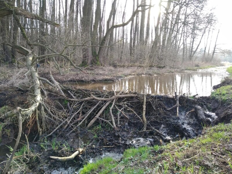 MOKRY_MARZEC (5).jpg