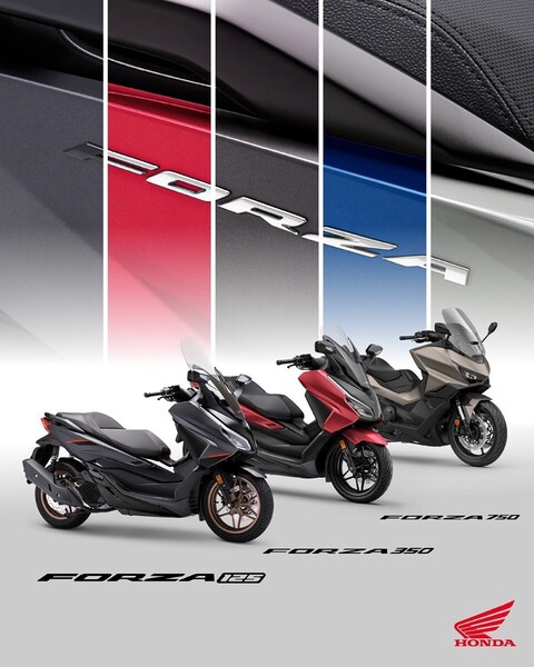 493176_25YM_Honda_Forza_family.jpg