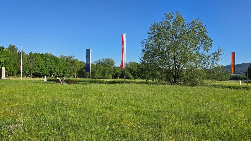 20260525_175502.jpg