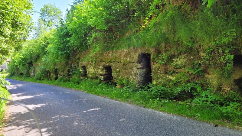 20260526_111018.jpg