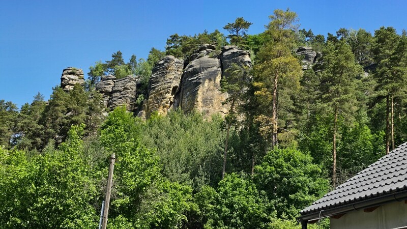 20260526_111827.jpg