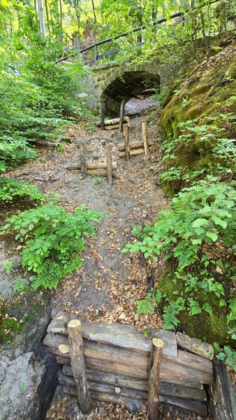 20260527_114908.jpg