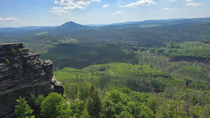 20260527_123001.jpg