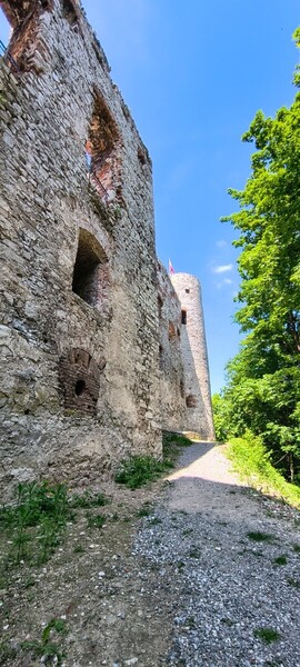 IMG_20260524_112625742_HDR.thumb.jpg.8bed9c04e310b39fc80c43cb75dfa872.jpg