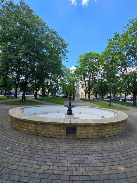 20260612_135056.jpg