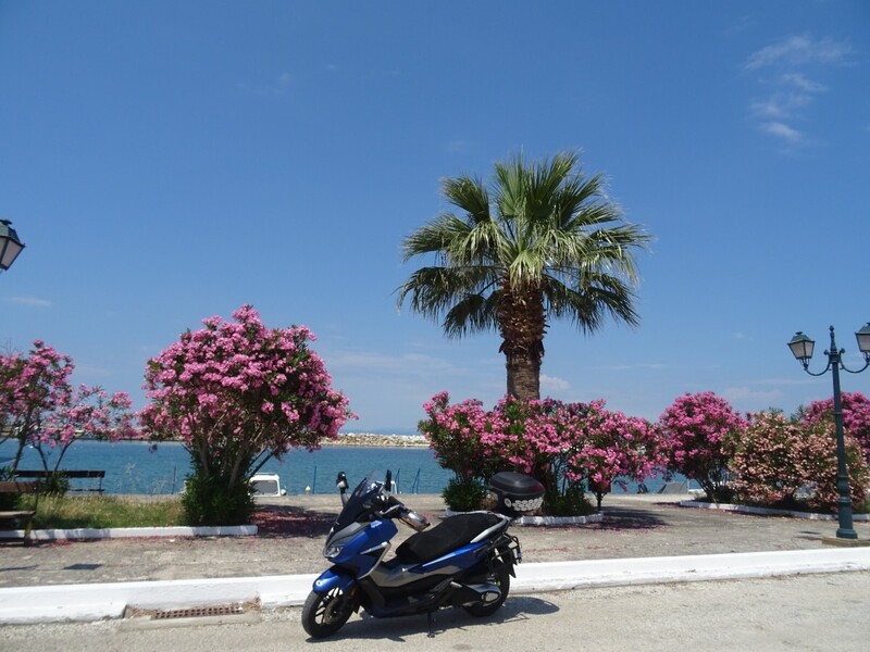 DSC08225.JPG