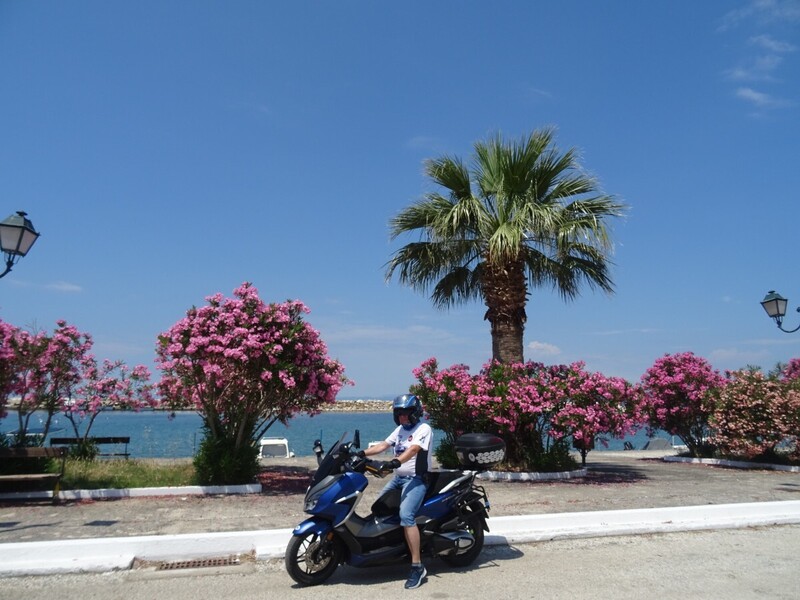 DSC08228.JPG