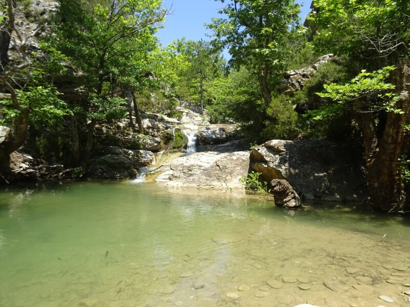 DSC08298.JPG