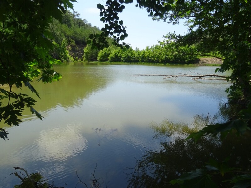 DSC08306.JPG