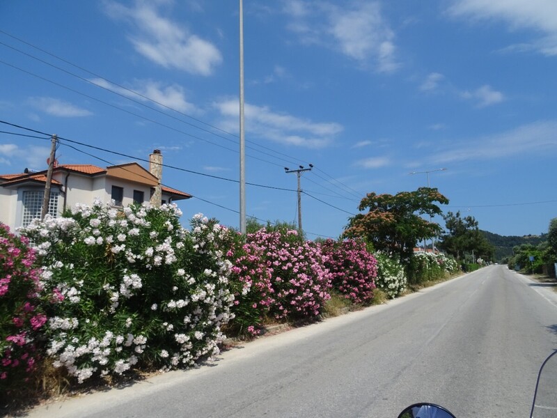 DSC08324.JPG