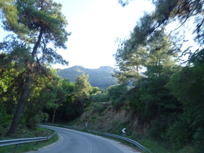 DSC08357.JPG