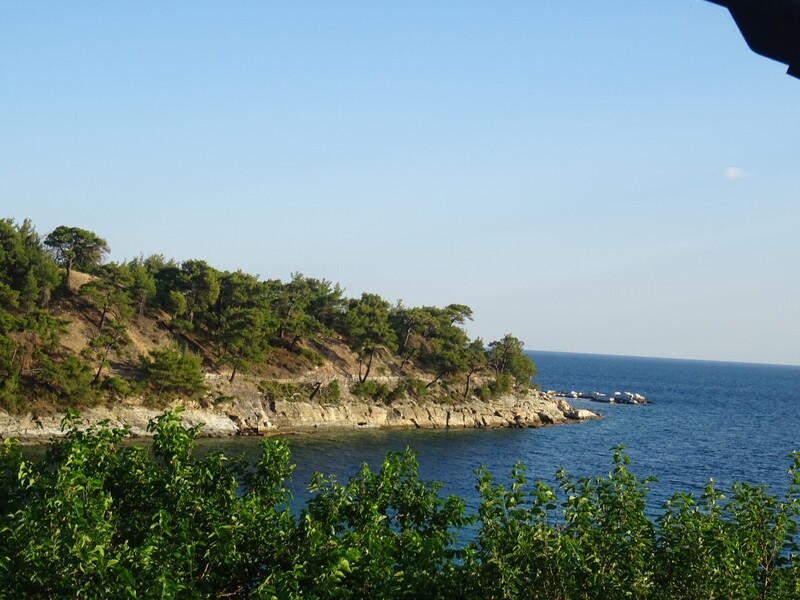 DSC08365.JPG