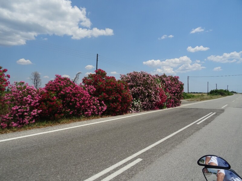 DSC08527.JPG
