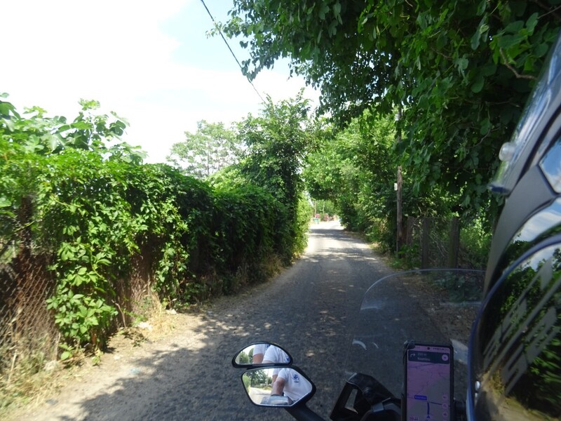 DSC08576.JPG