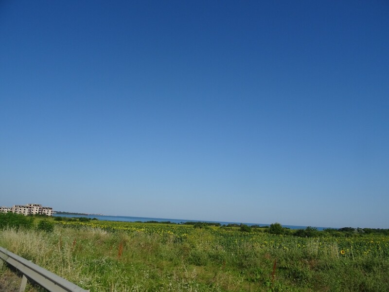 DSC09106.JPG