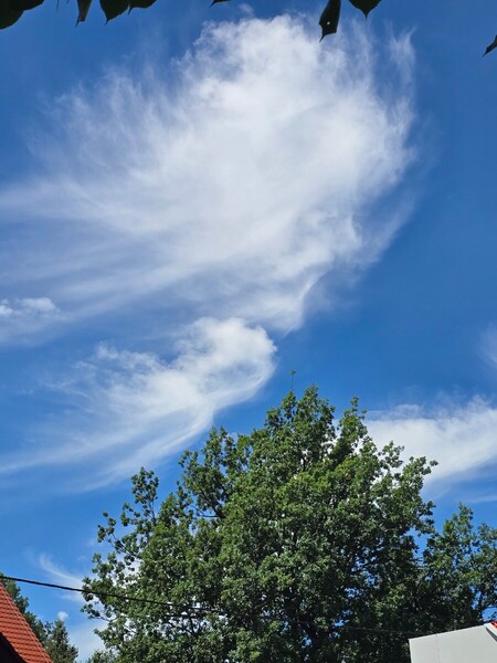 20260729_123400.jpg