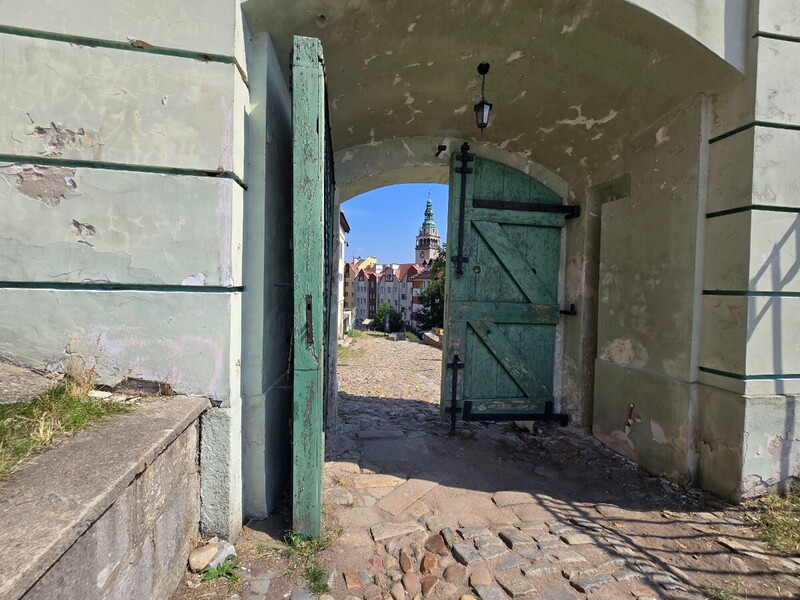 20260731_145944.thumb.jpg.86cf536d51bae1ea55bc526dcc9f91f8.jpg