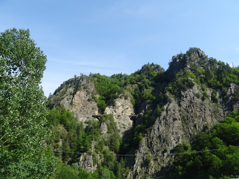 DSC09290.JPG