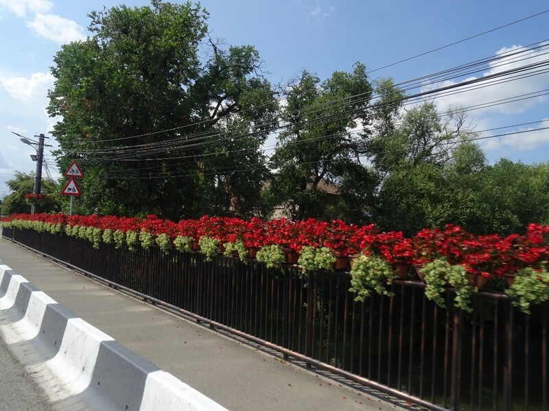 DSC09441.thumb.JPG.8305e1c83825ef3a45c4f61abfb046e0.JPG