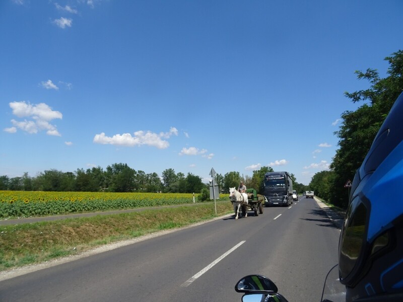 DSC09477.JPG