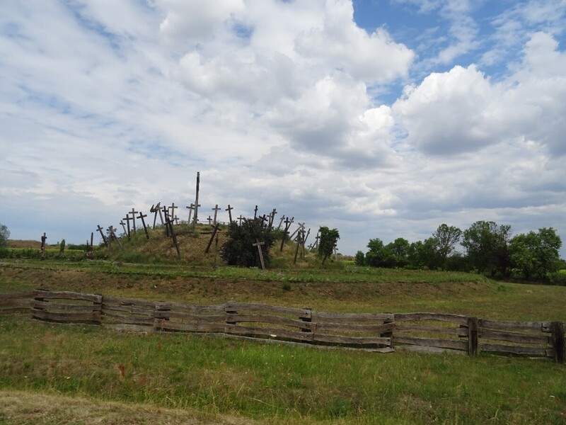 DSC09484.JPG