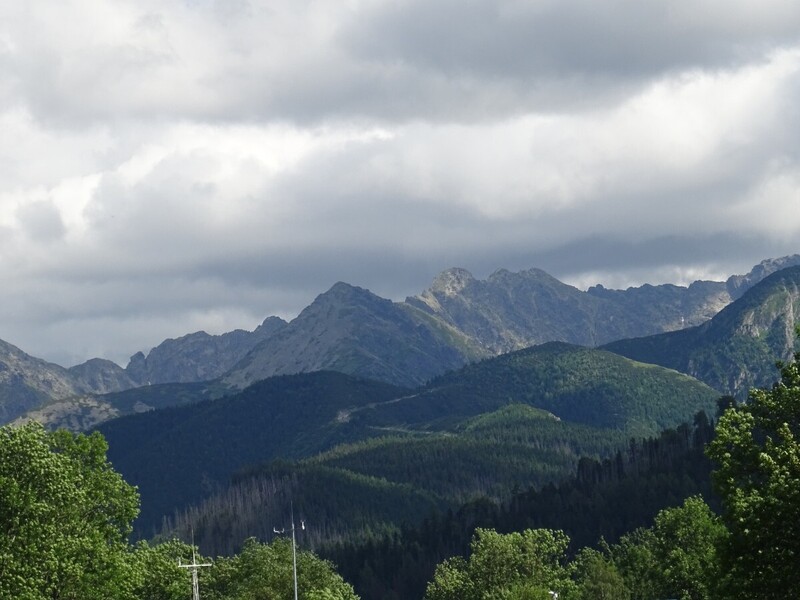 DSC09675.JPG