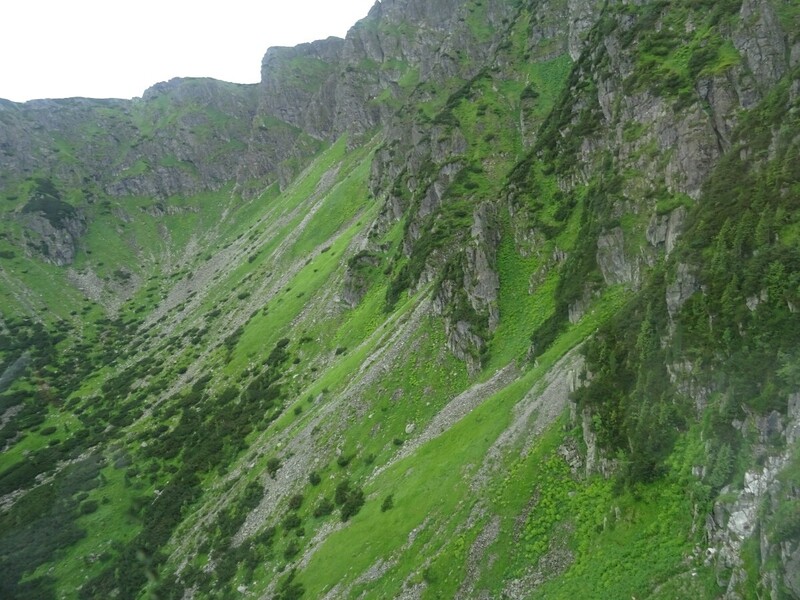 DSC09776.JPG