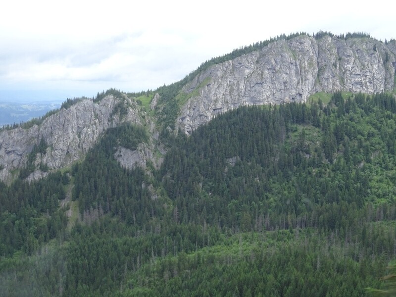 DSC09789.JPG