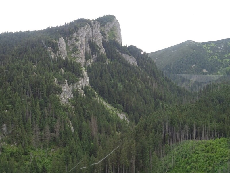DSC09799.thumb.JPG.0736127478a3a454f32b132ce5555cff.JPG