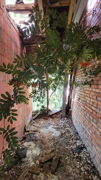 20260815_112445.jpg