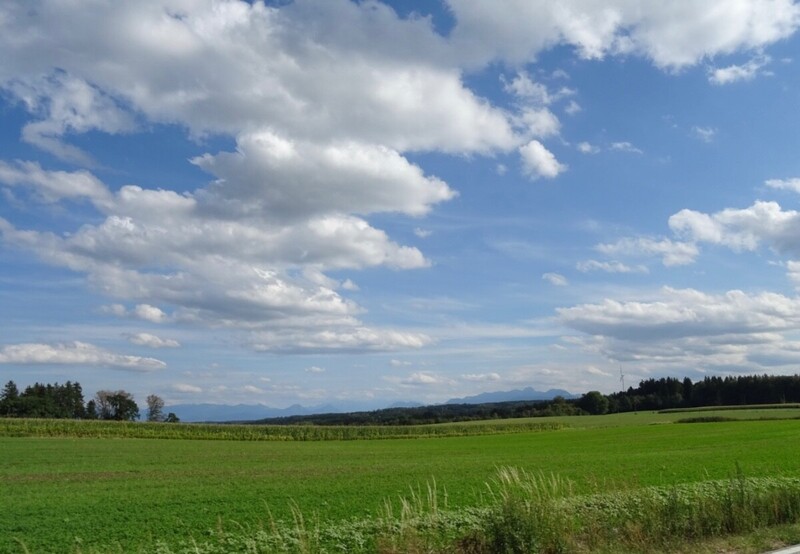 DSC09956.jpeg