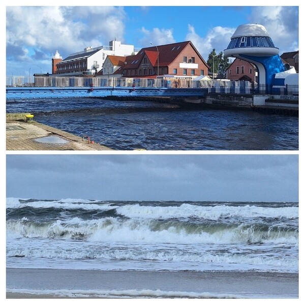 IMG_20260905_104938-COLLAGE.thumb.jpg.843502a120d900a21770c95ea4e1bb1f.jpg