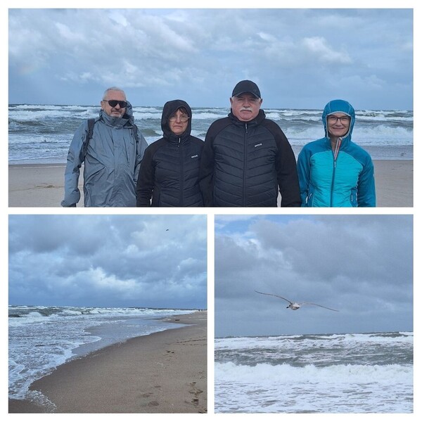 IMG_20260905_105258-COLLAGE.thumb.jpg.99cae8e4cfdb08825f2ffaf9bad11d6a.jpg