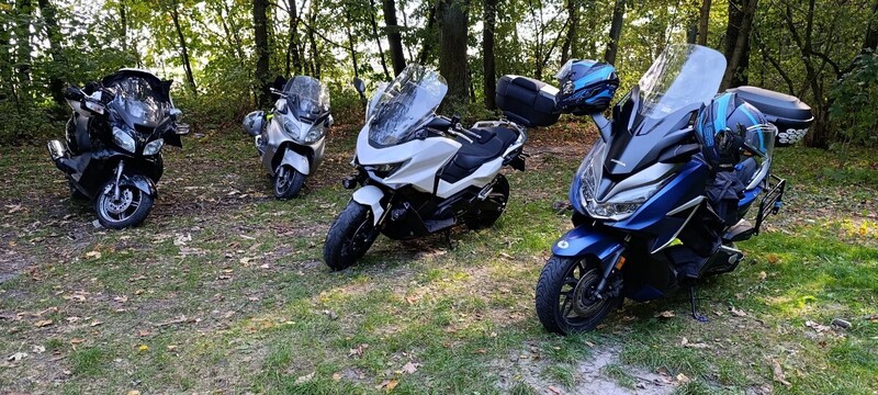 IMG_20261004_140255.jpg